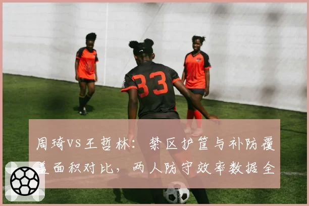 周琦vs王哲林：禁区护筐与补防覆盖面积对比，两人防守效率数据全面分析