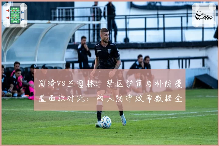 周琦vs王哲林：禁区护筐与补防覆盖面积对比，两人防守效率数据全面分析